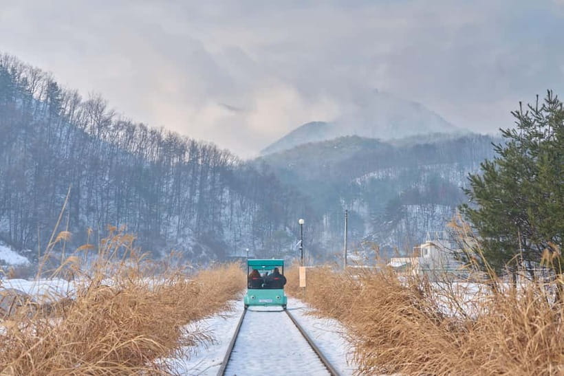 Seoul: Eobi Valley(Winter), Strawberry, Nami Island and Bike - Gangchon Rail Park Railbike: shared rides, big views