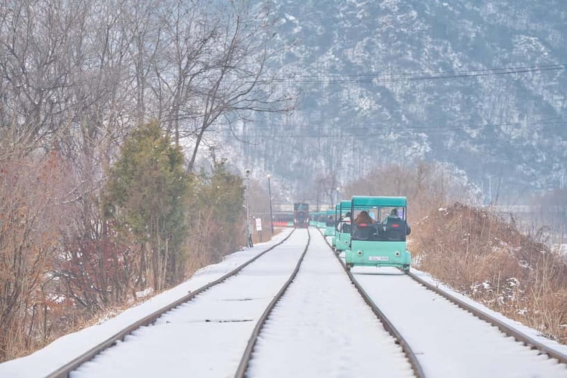 Seoul: Eobi Valley(Winter), Strawberry, Nami Island and Bike - Guides and group feel: multilingual help matters