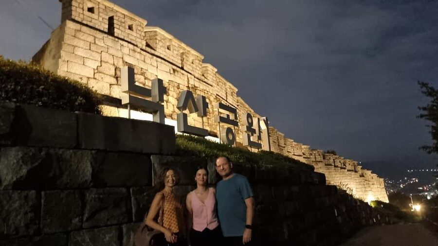 Seoul Evening Tour:Naksan Park&Eungbongsan - Drop-off options: ending your night without hunting for a taxi