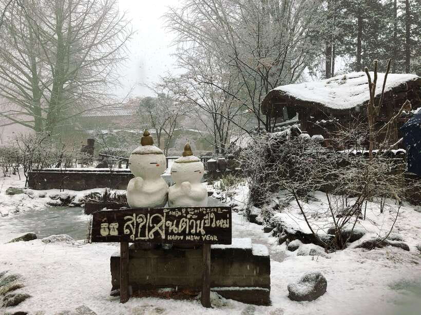 Seoul: Full-Day Winter Trip Ski Resort, Ice Valley, Namiseom - Why this Seoul winter day trip feels like a win