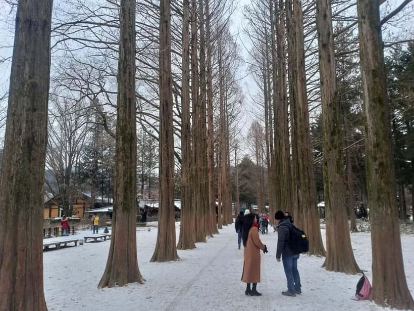 Seoul: Full-Day Winter Trip Ski Resort, Ice Valley, Namiseom - Does the 12-hour schedule feel rushed?