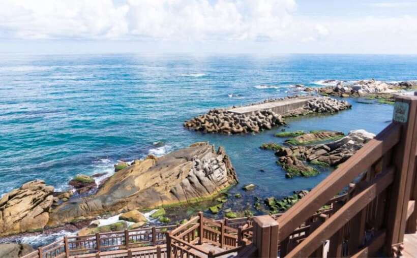 Seoul: Gangneung BTS K-Pop & K-Drama Filming Locations Tour - Adeul Rocky Park, Wind and Waves Shaped into Animal-Like Rocks