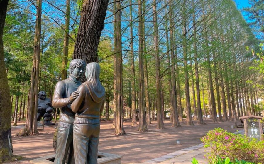 Seoul: Gangwon-do Day Trip with Alpaca World & Nami Island - Gangchon Rail Park: rail-bike fun with Bukhan River views