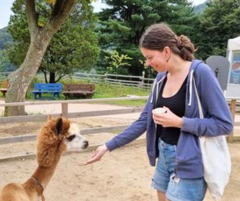 Seoul: Gangwon-do Day Trip with Alpaca World & Nami Island - Nami Island: K-drama fame, tall trees, and real free time