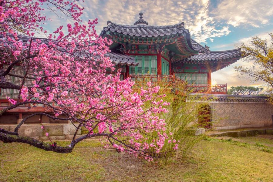 Seoul: Gyeongbok Palace and Bukchon Hanok Walking Tour - National Folk Museum inside the palace grounds: how people actually lived