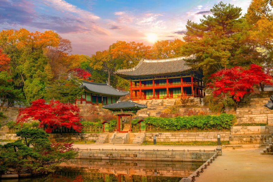 Seoul: Gyeongbok Palace and Bukchon Hanok Walking Tour - Small group (8 max) and English live guide: why that matters for value