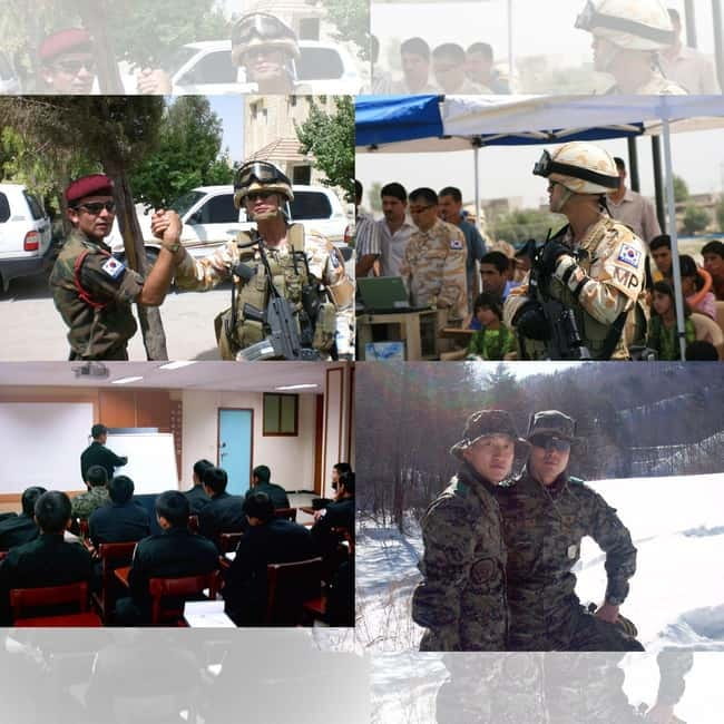 Seoul: Half-Day DMZ Tour Led by a Retired Military Officer - Key takeaways before you go