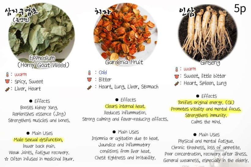 Seoul: herbal tea class & Korean Medicine tour - The lecture element: theory you can actually use