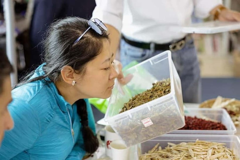Seoul: herbal tea class & Korean Medicine tour - Take-home tea bottle and presented herbs