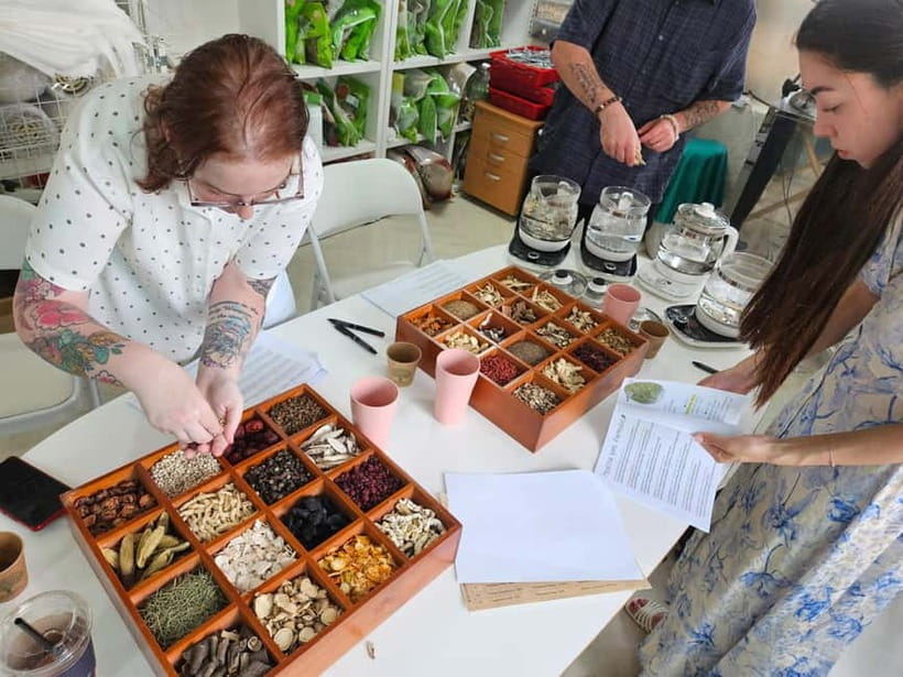 Seoul: herbal tea class & Korean Medicine tour - Oriental Medicine Museum: herbs, categories, and real-looking ingredients
