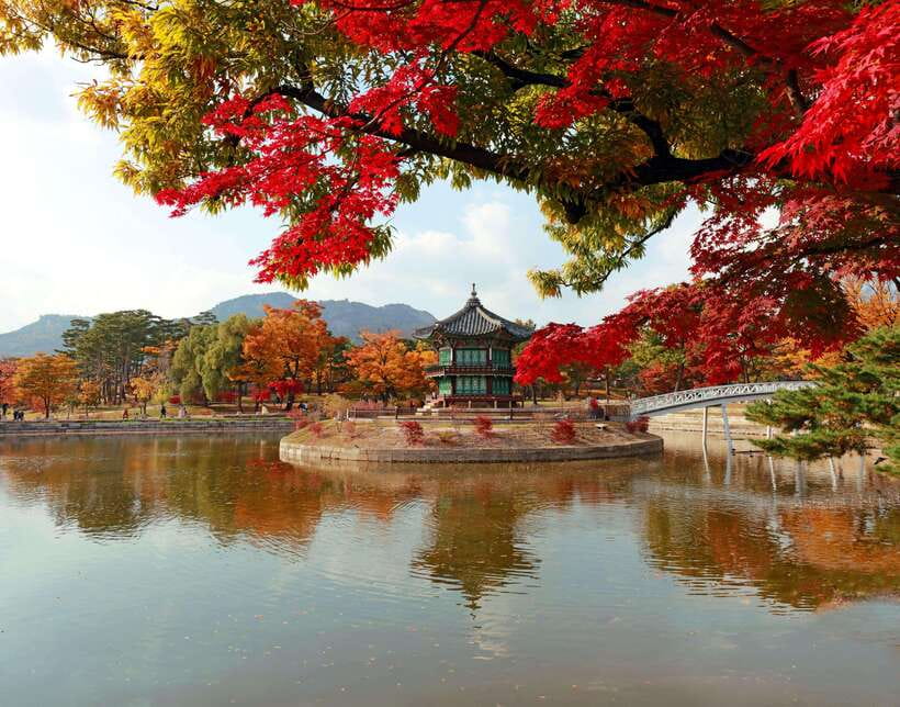 Seoul Highlights: Gyeongbok Palace, Insadong & N Seoul Tower - Key highlights worth planning around