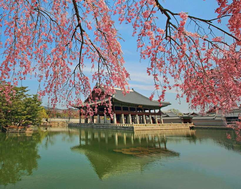 Seoul Highlights: Gyeongbok Palace, Insadong & N Seoul Tower - Jogyesa Temple, a calm start before the royal performance
