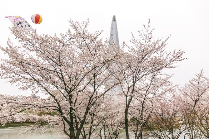 Seoul Highlights & Hidden Gems – Private Tour with Photo Service - How Seoul logistics feel with pickup and a private car