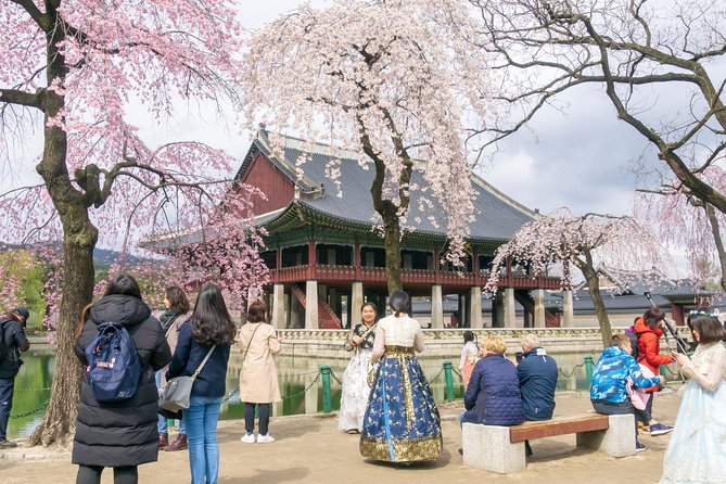 Seoul Highlights & Hidden Gems – Private Tour with Photo Service - Gwangjang Market: food choices and a smart snack strategy