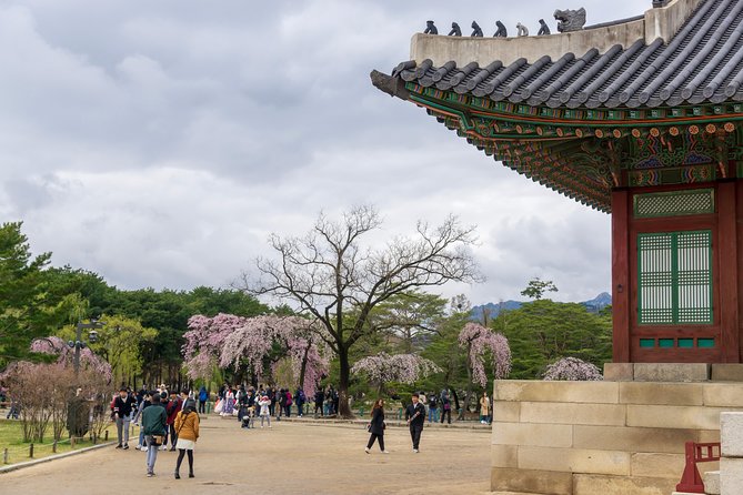 Seoul Highlights & Hidden Gems – Private Tour with Photo Service - Namsangol Hanok Village: a calmer hanok break between bigger stops