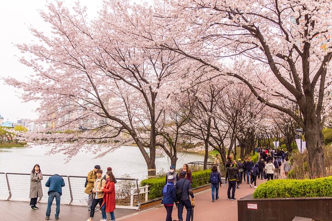 Seoul Highlights & Hidden Gems – Private Tour with Photo Service - Gyeongbokgung Palace: where your photos go from good to classic