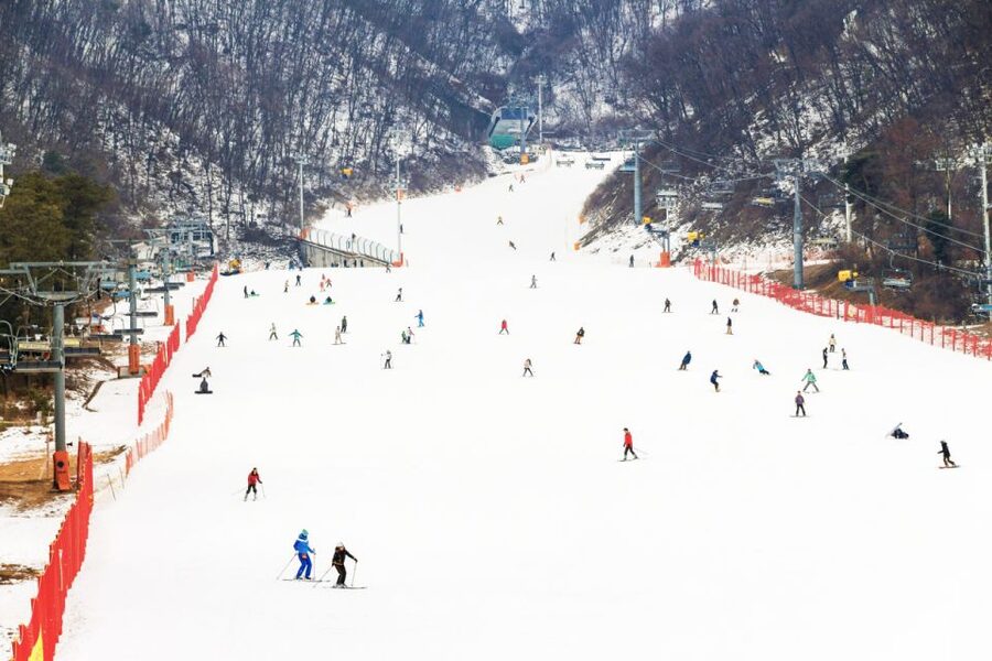 Seoul: Jisan Forest Winter Ski Day Tour with Basic Lesson - The 10-hour schedule: from Seoul morning pickup to 4:30 PM return