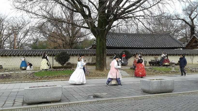 Seoul: Maisan Cherry Blossom and Jeonju Hanok Day Tour - Who Should Book This Tour, and Who Might Want to Rethink It