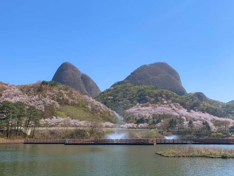 Seoul: Maisan Cherry Blossom and Jeonju Hanok Day Tour - What You Will Actually See, Including the Scenic Extras