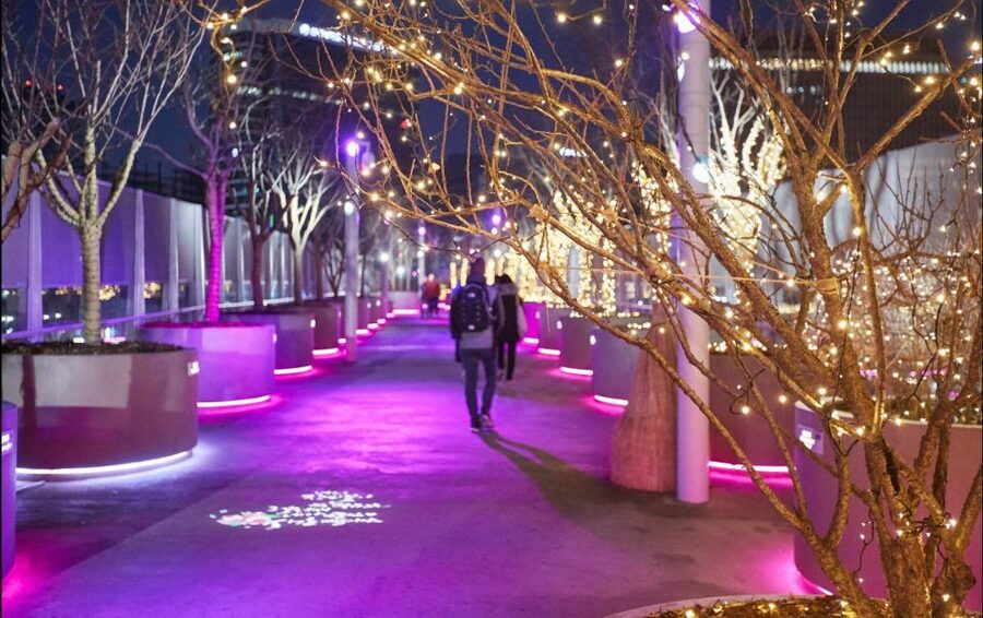 Seoul: Moonlight Rainbow Fountain Show Night Tour - Quick reasons this night tour works so well