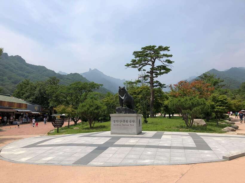 Seoul: Mt.Seorak(+CableCar Option)+Sokcho Fish Market&Beach - Seoul to Seoraksan, the autumn day trip rhythm that makes sense