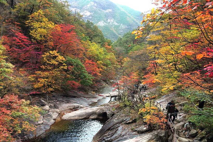 Seoul: Mt.Seorak(+CableCar Option)+Sokcho Fish Market&Beach - Cable car option at Seoraksan: who it helps and when it’s worth it