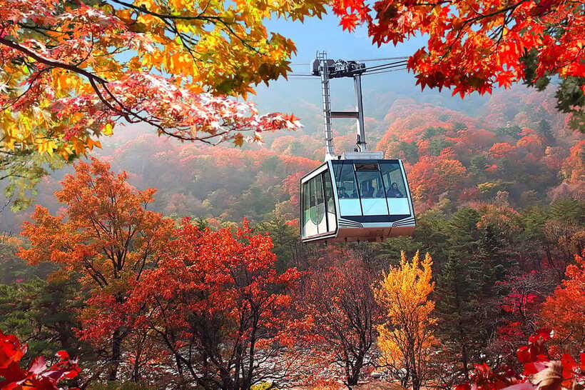 Seoul: Mt.Seorak(+CableCar Option)+Sokcho Fish Market&Beach - When the weather turns: how guides keep the day on track