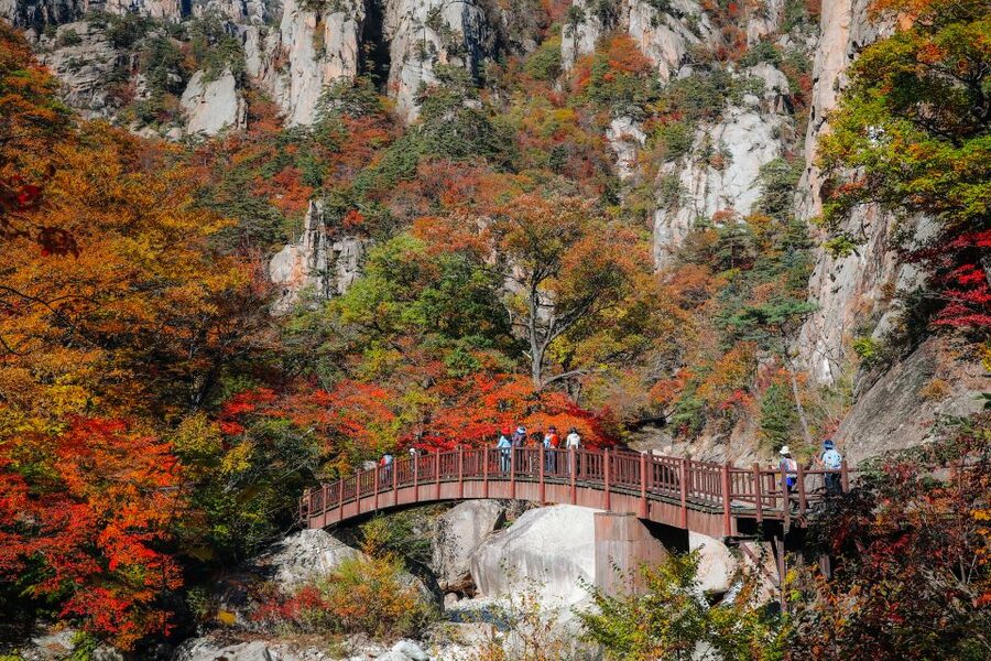 Seoul: Mt Seorak + Naksansa Temple or Nami Island Group Tour - Key things that make this tour worth your attention