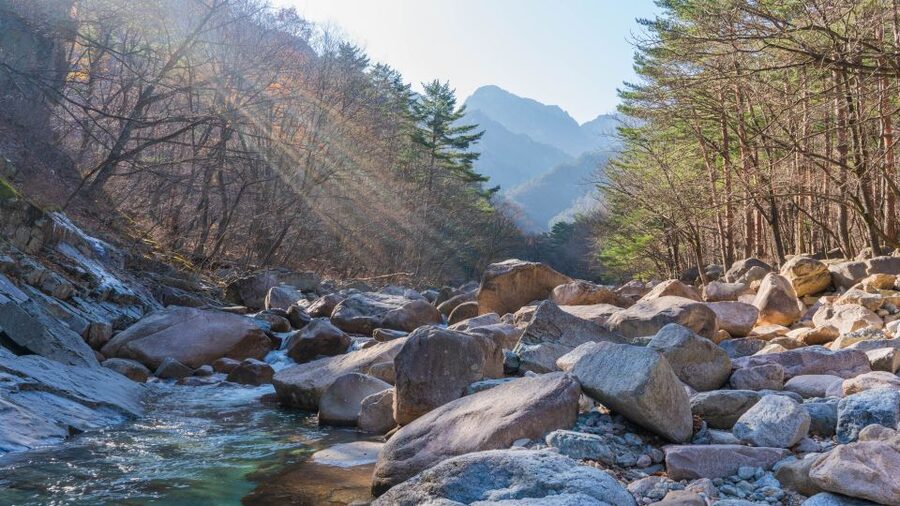 Seoul: Mt Seorak + Naksansa Temple or Nami Island Group Tour - Seoraksan Day Trip From Seoul: the ride and what you see along the way
