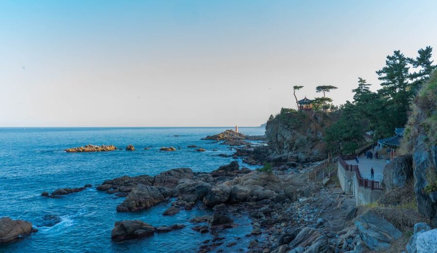 Seoul: Mt Seorak + Naksansa Temple or Nami Island Group Tour - Nami Island option: half-moon charm, filming spots, and wildlife