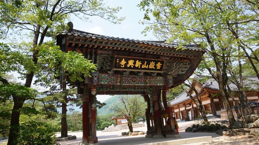 Seoul: Mt Seorak + Naksansa Temple or Nami Island Group Tour - Who this tour suits best (and who should skip it)