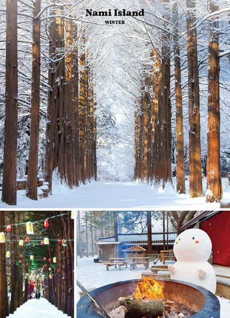 Seoul: Mt. Seorak & Nami Island & Eobi Ice Valley Day Tour - Seoraksan National Park and the cable car: where the day earns its keep