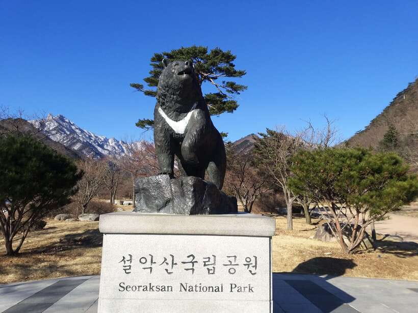 Seoul: Mt.Seorak, Nami Island & Korean Garden, No Shopping - Key things to know before you go