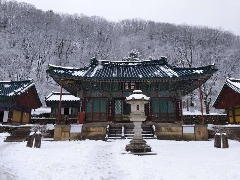 Seoul: Mt.Seorak, Nami Island & Korean Garden, No Shopping - A no-shopping day from Seoul that actually prioritizes nature