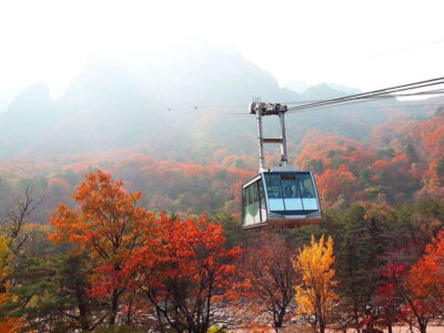 Mt.Seorak, Nami Island & Korean Garden, No Shopping