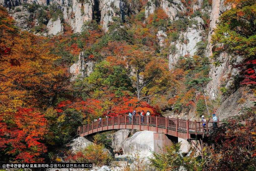 Seoul: Mt.Seorak, Nami Island, No Shopping(+RailBike Option) - Leaving Seoul smart: why this day trip beats DIY timing