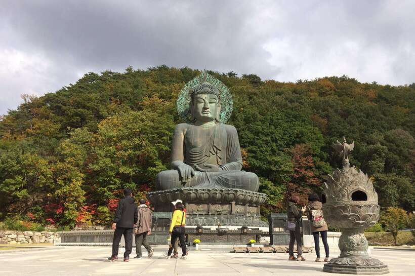Seoul: Mt.Seorak, Nami Island, No Shopping(+RailBike Option) - The Nami Island reset: ferry ride, photos, and the easy river walk
