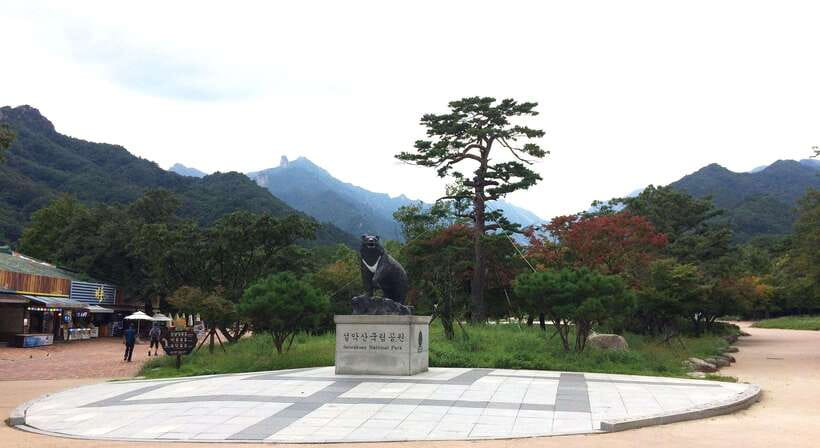 Seoul: Mt.Seorak, Nami Island, No Shopping(+RailBike Option) - Mt. Seoraksan: UNESCO biosphere scenery, the Big Buddha, and what to expect on the ground