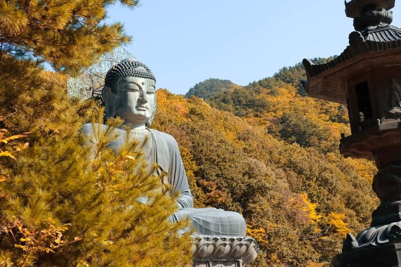 Seoul: Mt. Seoraksan National Park Autumn Foliage Day Tour - Park Arrival Around 10AM: The View Is The Whole Point