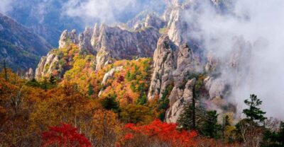 Mt. Seoraksan National Park Autumn Foliage Day Tour