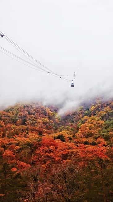 Seoul: Mt. Seoraksan National Park Autumn Foliage Day Tour - Temples, Photo Stops, and How To Get Better Shots Without Stress