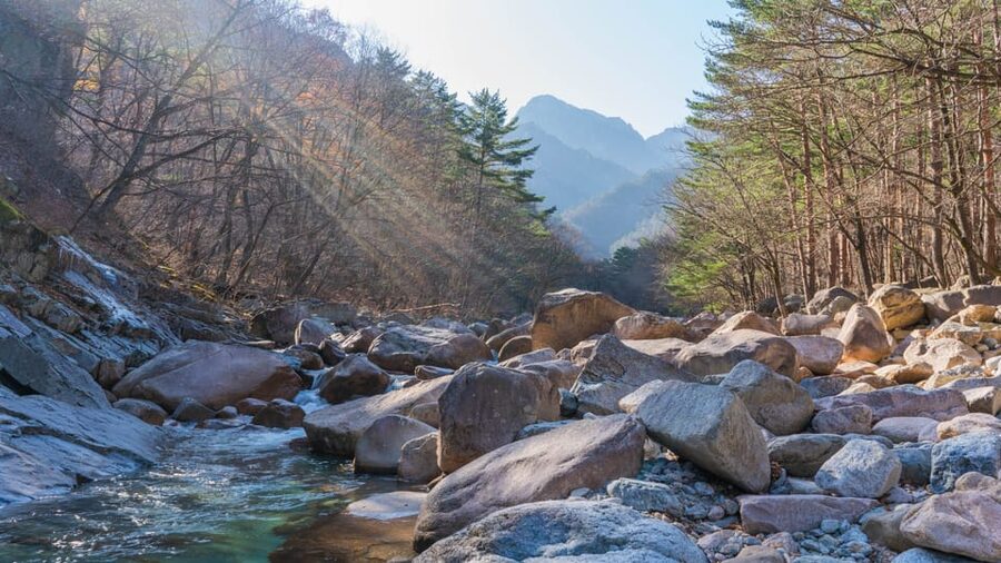 Seoul: Mt. Seoraksan National Park Autumn Foliage Day Tour - Cable Car Reality Check: Not Included, and Wind Can Matter