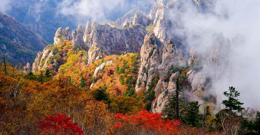 Seoul: Mt. Seoraksan National Park Autumn Foliage Day Tour - Getting There: Early Departure, Comfortable Transport, and Help On The Way