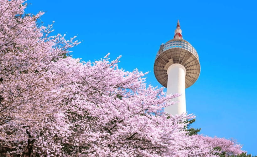 Seoul: N Seoul Tower Observatory Ticket - Key things to know before you go
