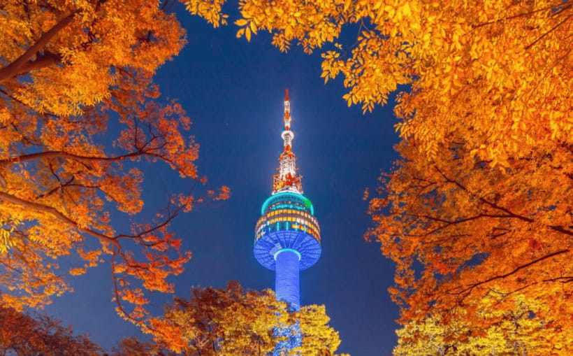 Seoul: N Seoul Tower Observatory Ticket - Love Locks: the easy, meaningful photo moment