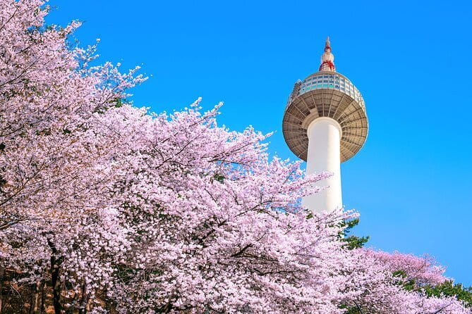 Seoul: N Tower Observatory Ticket - Love locks tradition at N Seoul Tower: the photo spot with real cultural context