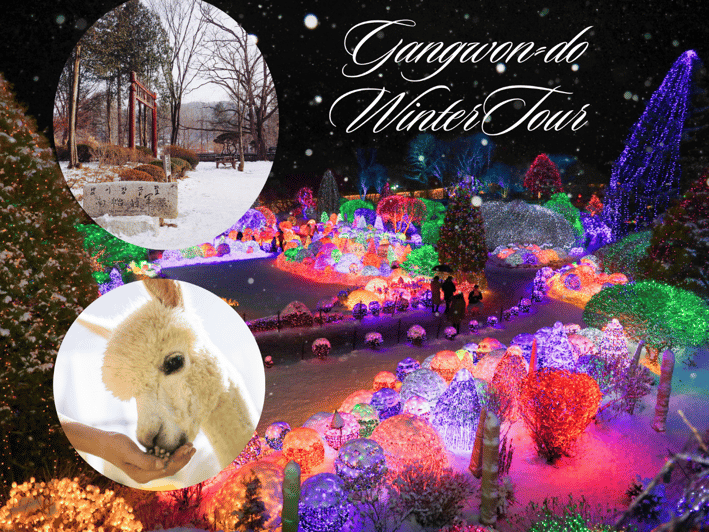 Seoul: Nami and K-Garden with Optional Alpaca Winter Tour - A winter route that fits first-time Seoul visitors