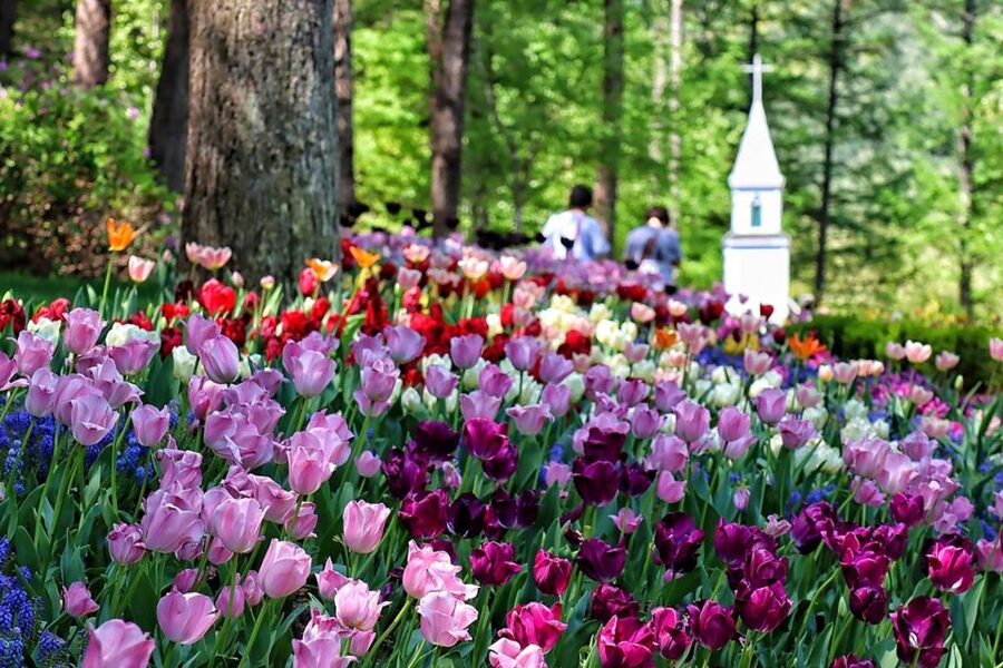 Seoul: Nami and Petite France Tour with Optional K-Garden - Who should book this tour, and who should skip it