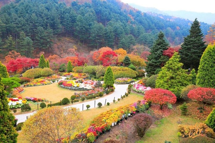 Seoul: Nami and Petite France Tour with Optional K-Garden - Walking Petite France like a storybook