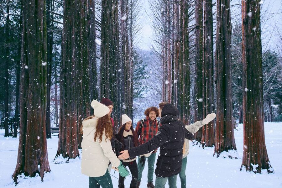 Seoul: Nami and Petite France Tour with Optional K-Garden - The optional Garden of Morning Calm when you want quiet